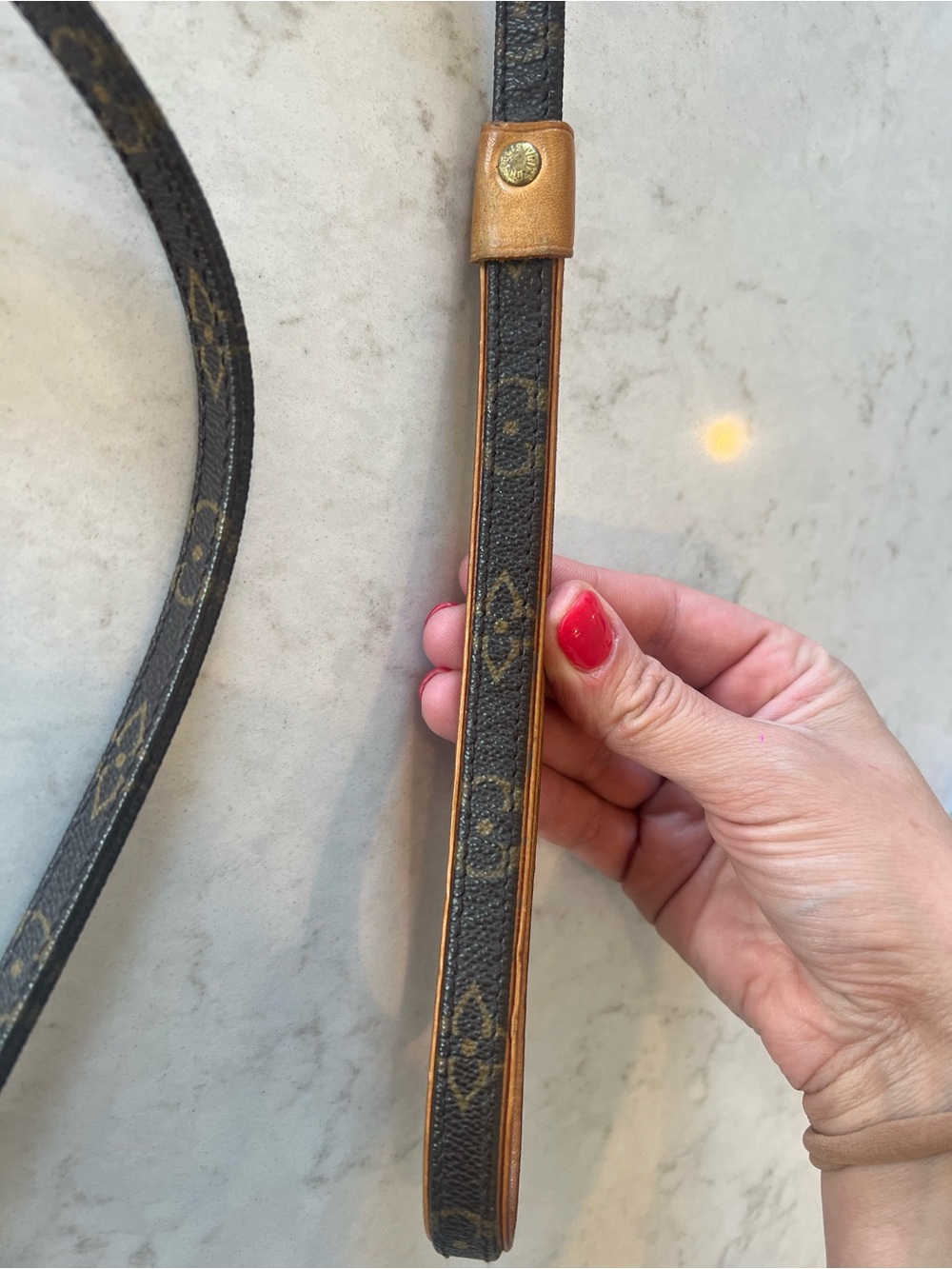 Louis Vuitton Monogram Leather Dog Leash in Brown and Tan